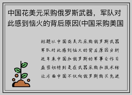 中国花美元采购俄罗斯武器，军队对此感到恼火的背后原因(中国采购美国2000亿)